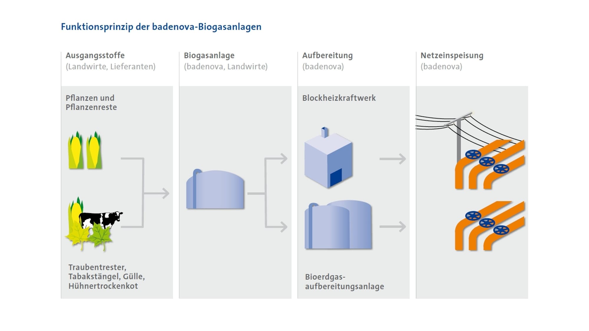 So funktionieren die badenova Biogasanlagen